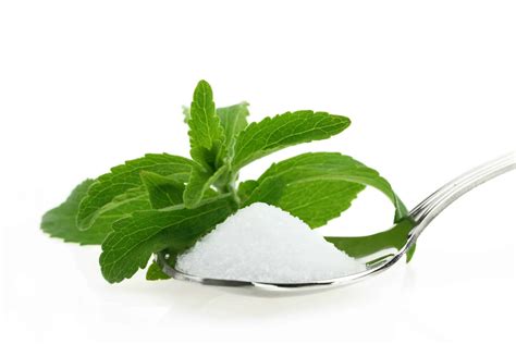 What is stevia made from?