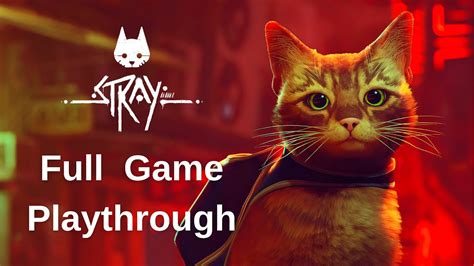 What is stray cat game about?