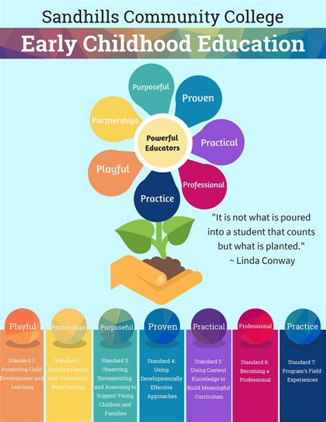 What is stream in early childhood education?
