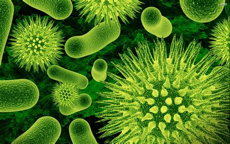 What is super bacteria?