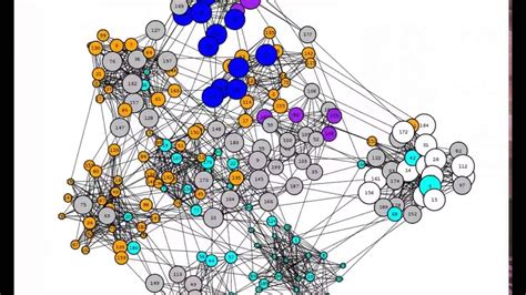 What is swarm dynamics?