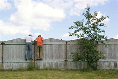 What is the 10 year fence law in Louisiana?