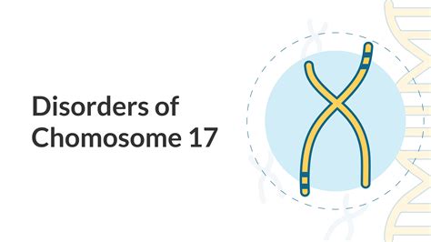 What is the 17 chromosome syndrome?