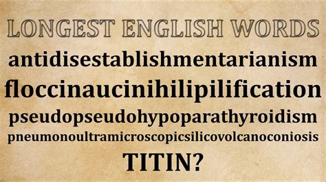 What is the 1st longest English word?