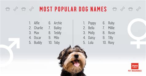 What is the 2 most popular pet?