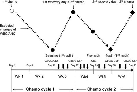 What is the 21 day cycle of chemotherapy?