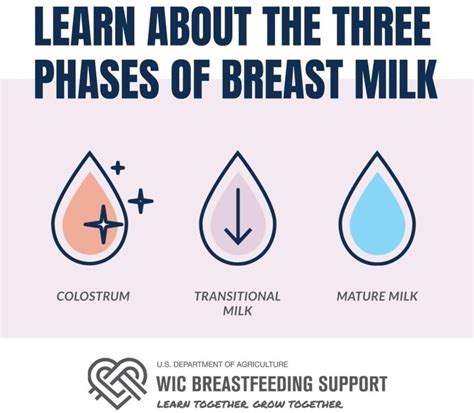 What is the 3 3 3 rule for breast milk?