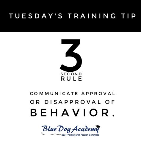 What is the 3 second rule in dog training?