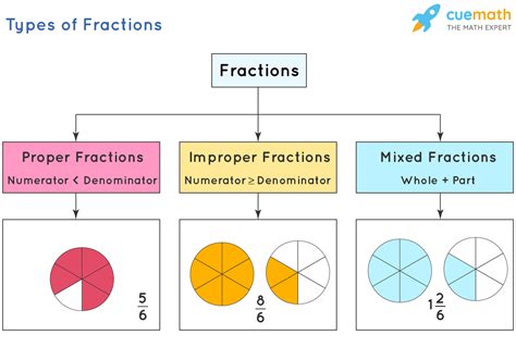 What is the 3 types of fraction?