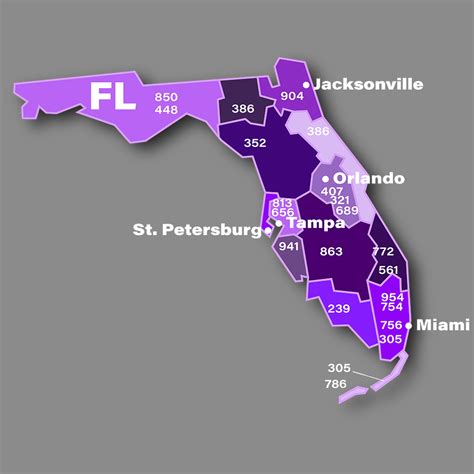 What is the 305 in Florida?