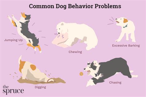 What is the 4 dog problem?