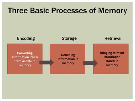 What is the 5 step memory process?