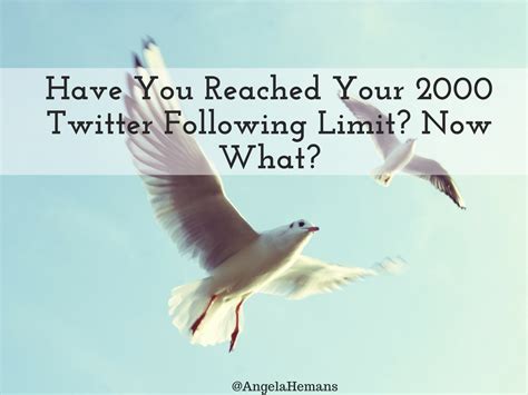 What is the 5000 follow limit?