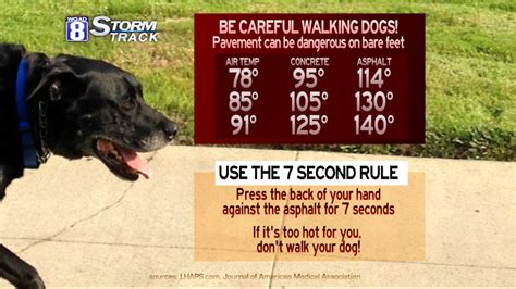 What is the 7 second rule for dogs?