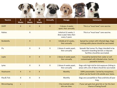 What is the 9 way shot for puppies?