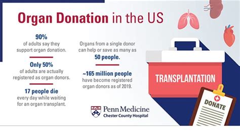 What is the 90 minute rule for organ donation?