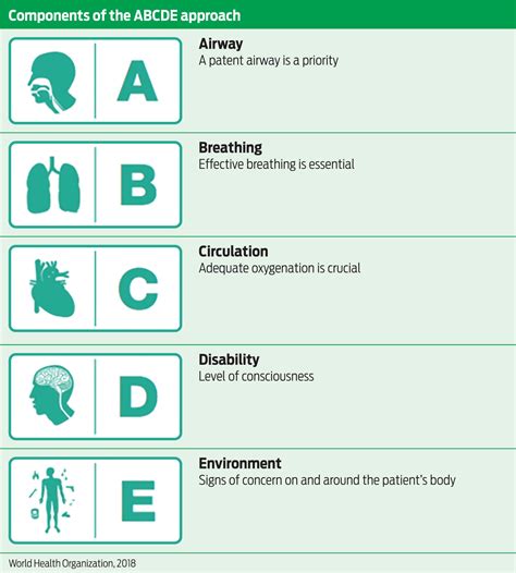 What is the Abcde rule for burns?