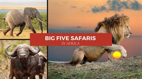 What is the Big Five in tourism?