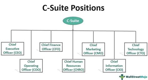 What is the C level position in startup?