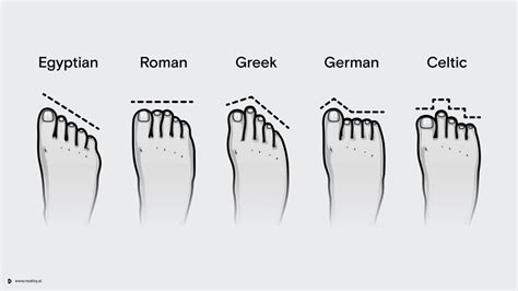 What is the Celtic foot theory?