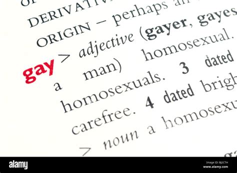 What is the Collins Dictionary definition of gay?