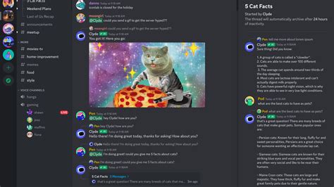 What is the Discord AI called?