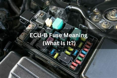 What is the ECU B fuse?