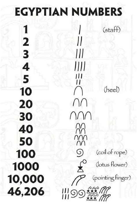 What is the Egyptian number 5?