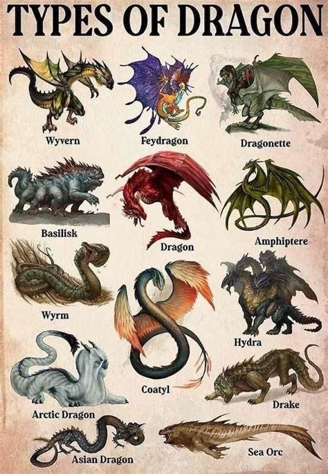 What is the English dragon called?