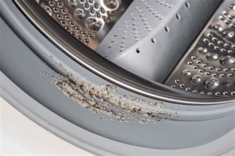 What is the GREY sludge in my washing machine seal?