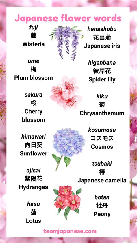 What is the Japanese name for flowers?