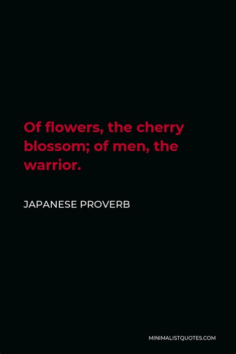 What is the Japanese proverb about cherry blossoms?