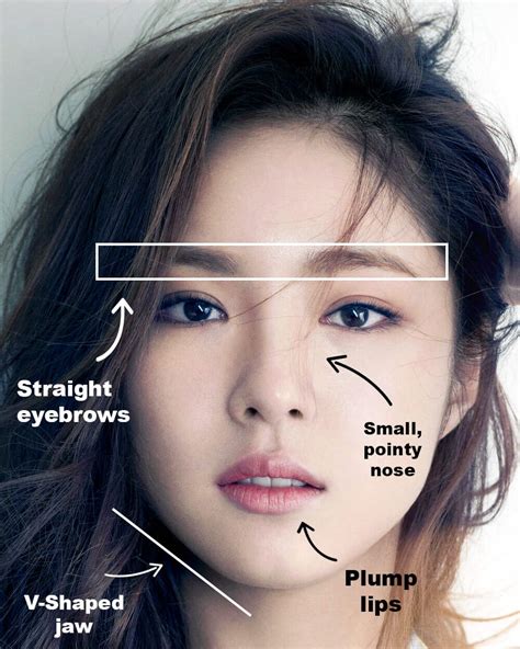 What is the Korean face shape?