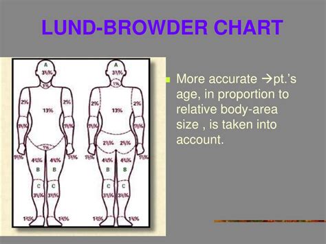 What is the Lund Browder method?