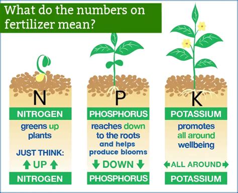 What is the NPK ratio in seaweed fertilizer?