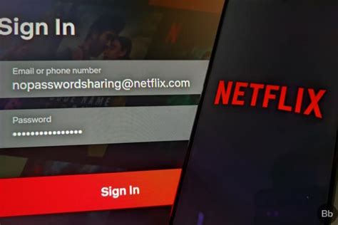 What is the Netflix password rule?