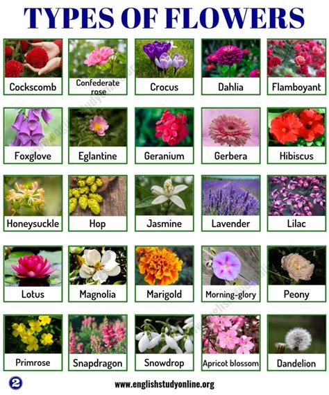 What is the No 1 flowers in the world?