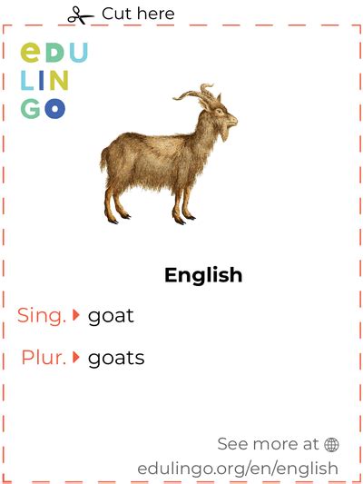 What is the Old English word for goat?