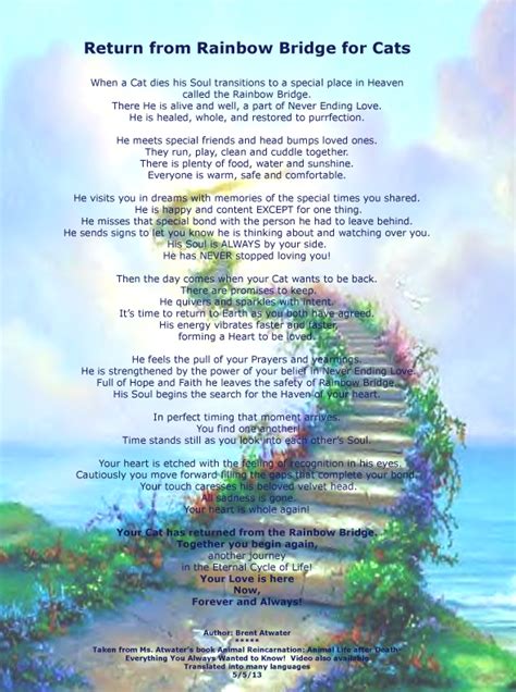 What is the Rainbow Bridge poem for cats?