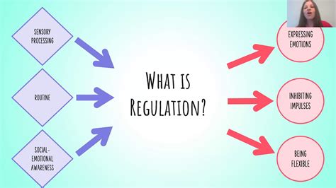 What is the Reg M Rule 101?