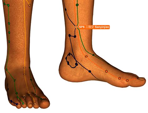 What is the SP6 point in acupuncture?