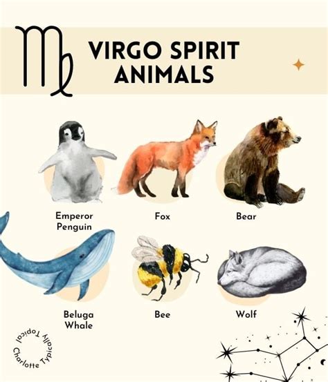 What is the Virgo animal?