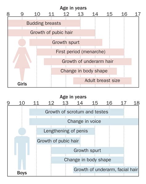 What is the age limit for breast growth?