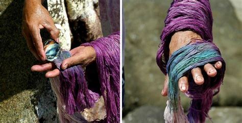 What is the ancient Greek purple dye?