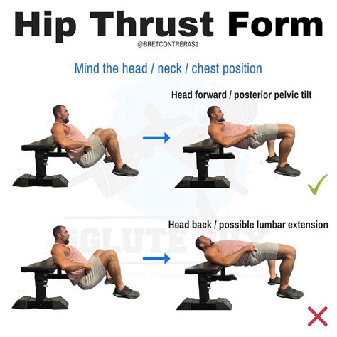 What is the antagonist of hip thrust?