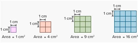 What is the area of 8 cm and 10 cm?