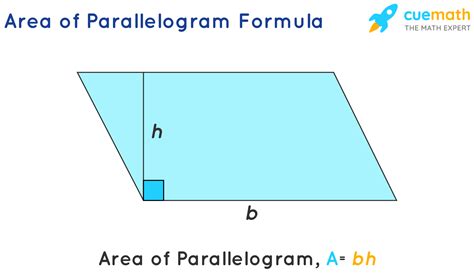 What is the area of parallelogram whose base 6 cm and 7 cm?