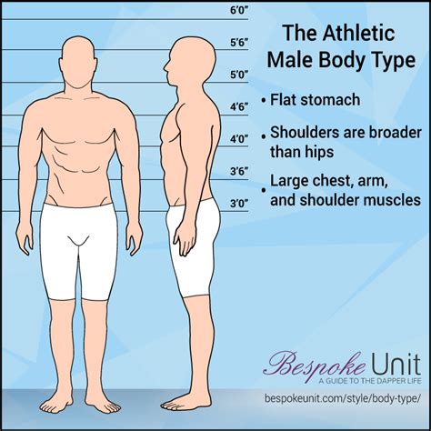 What is the athletic body type?