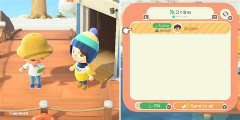 What is the average age of Animal Crossing players?