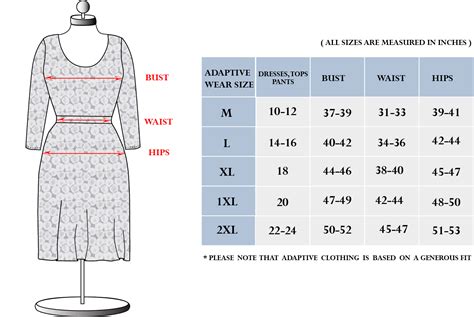 What is the average dress size for a woman?